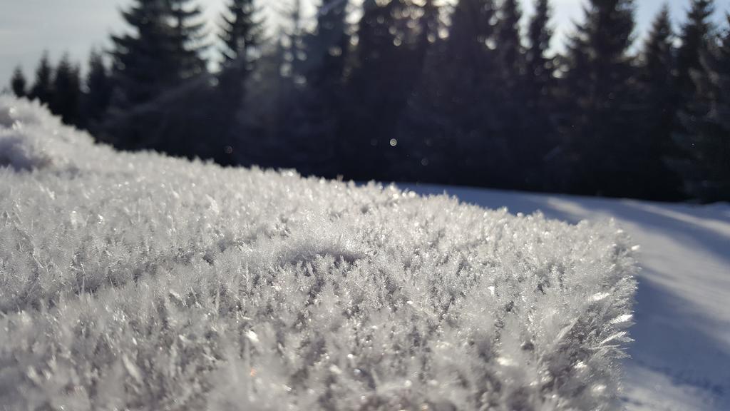 Chata Alpina Ruzomberok Eksteriør billede